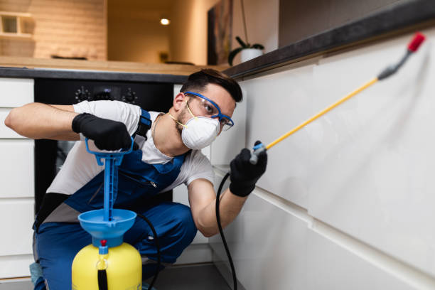 Best Exterminator Services  in Morganville, NJ
