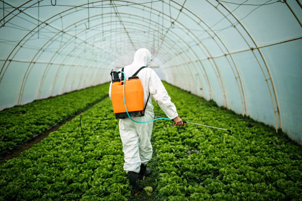 Best Commercial Pest Control Services  in Morganville, NJ