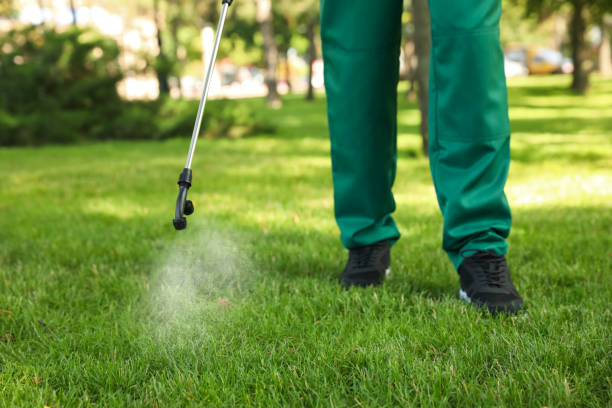 Best Wasp Removal Services  in Morganville, NJ
