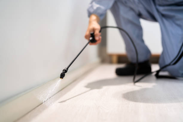 Pest Control Cost in Morganville, NJ