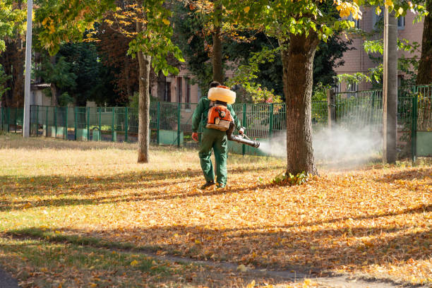 Best Termite Control Services  in Morganville, NJ