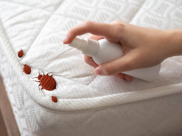Trusted Morganville, NJ Pest Control Experts