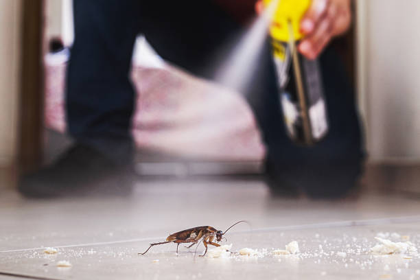 Best Flea Control Services  in Morganville, NJ