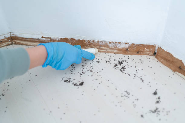 Best Pest Inspection Near Me  in Morganville, NJ