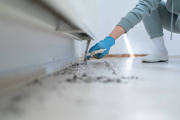 Best Insect Control  in Morganville, NJ